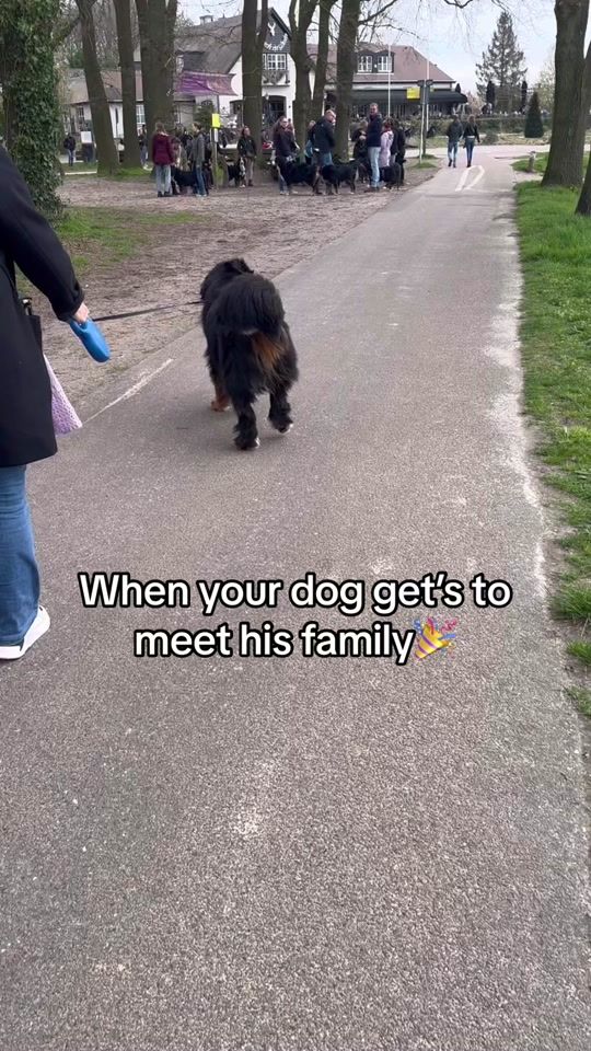 TikTok video thumbnail by bellezimmerman