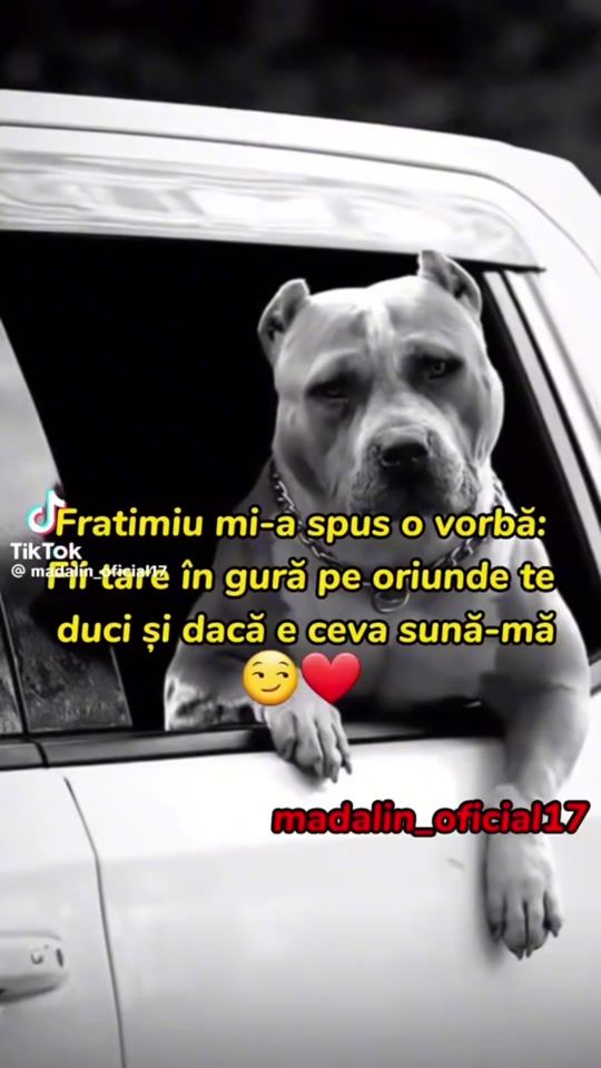 TikTok video thumbnail by ignatmarian07