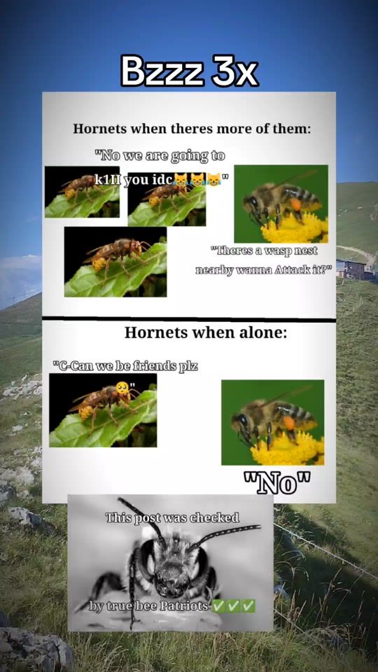 TikTok video thumbnail by antiwasp