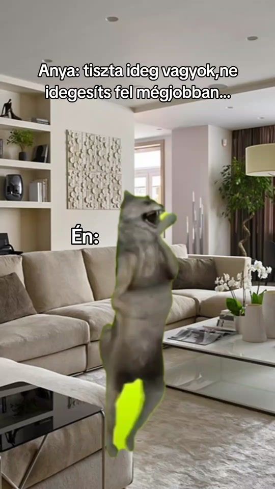 TikTok video thumbnail by felix._.miertne