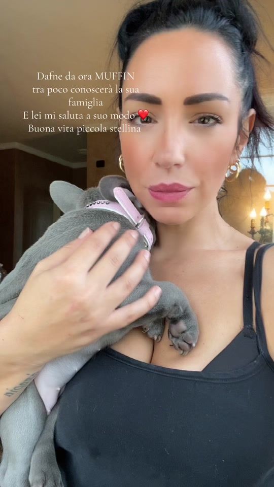 TikTok video thumbnail by castlefrenchie5