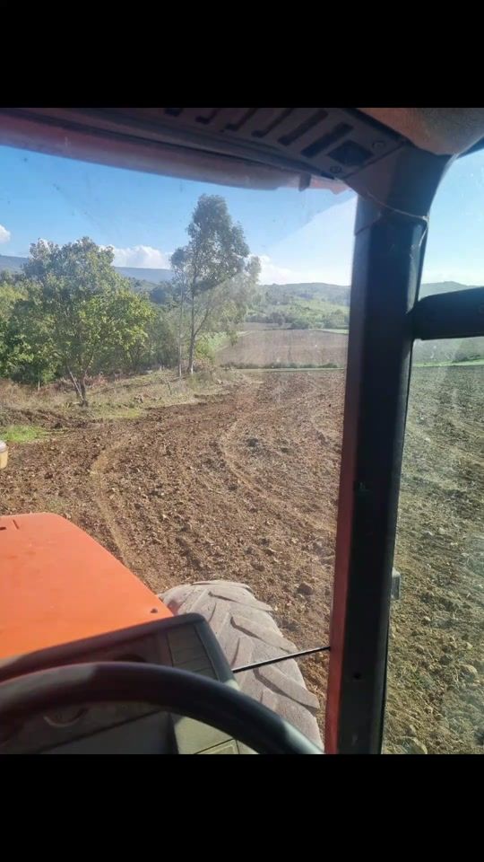 TikTok video thumbnail by chiccoscema