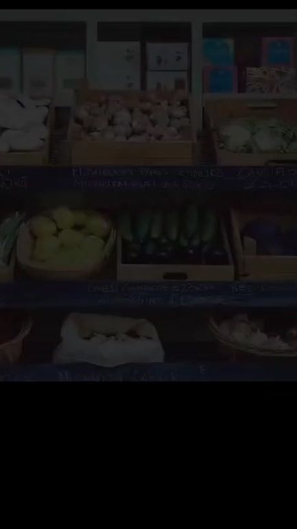 TikTok video thumbnail by pferdediebpd