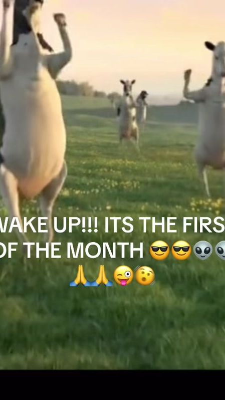 TikTok video thumbnail by i.tickleballs123