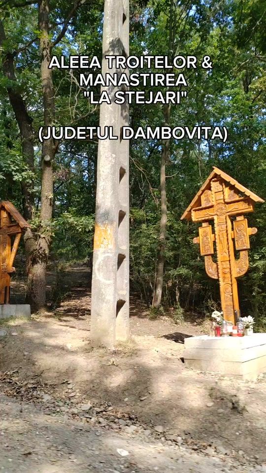 TikTok video thumbnail by remuspopa1923