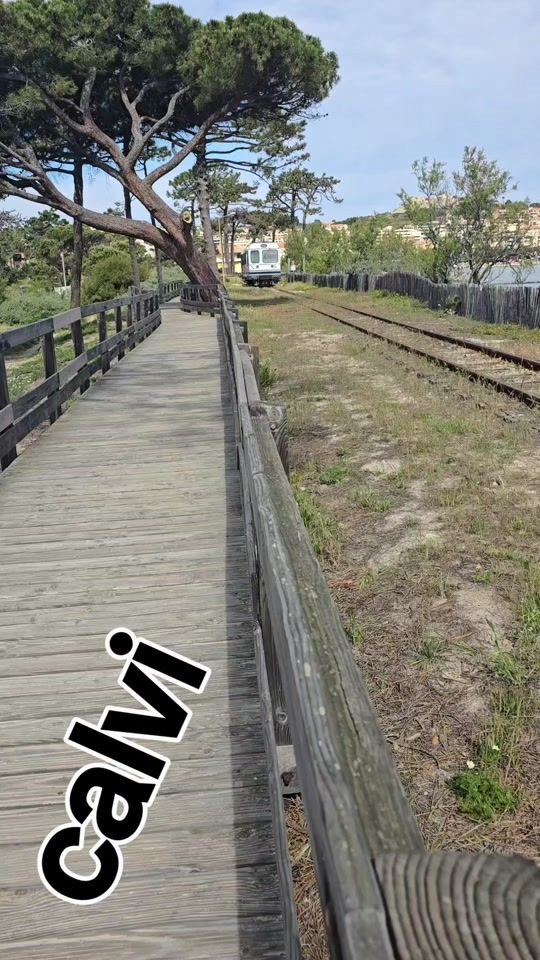 TikTok video thumbnail by louisluciani5