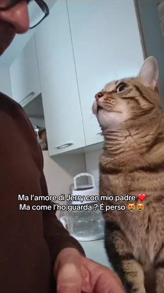 TikTok video thumbnail by giuliafermi1996