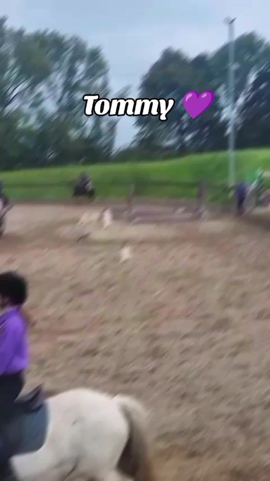TikTok video thumbnail by emilythehorserider5