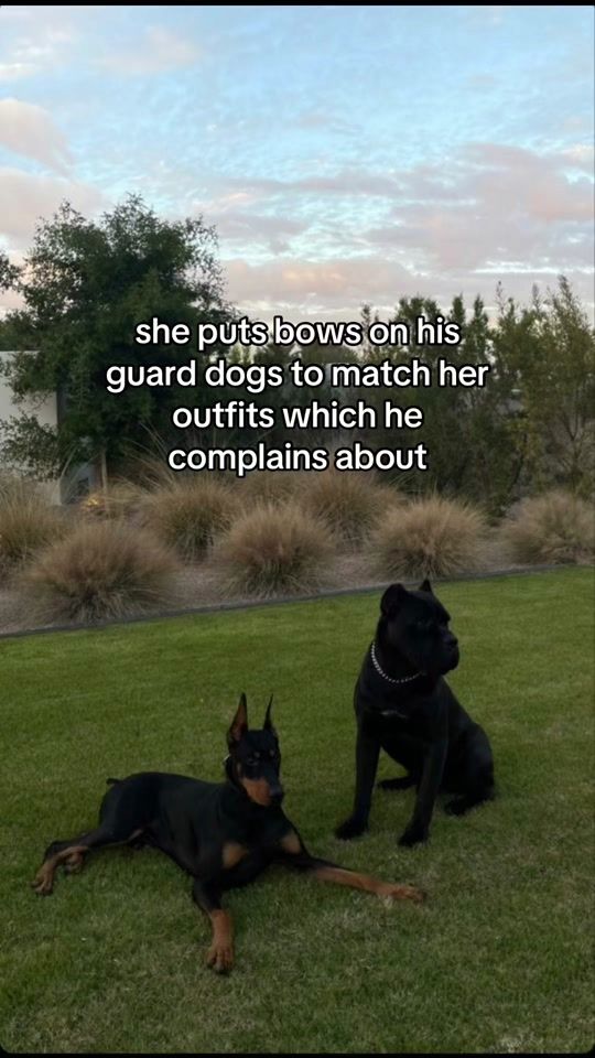 TikTok video thumbnail by katsxbooks