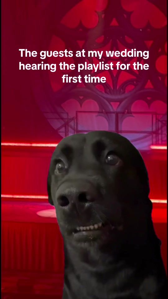TikTok video thumbnail by caseychaos
