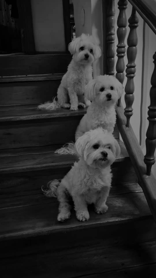 TikTok video thumbnail by violeta.marci