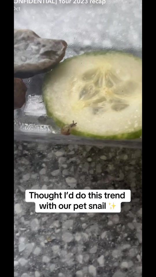 TikTok video thumbnail by bbcakes97