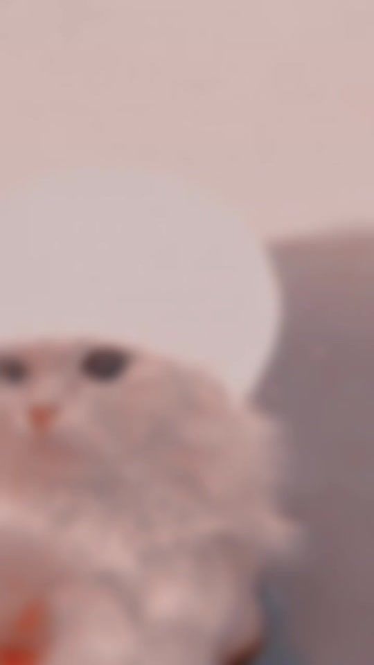 TikTok video thumbnail by peachyiara