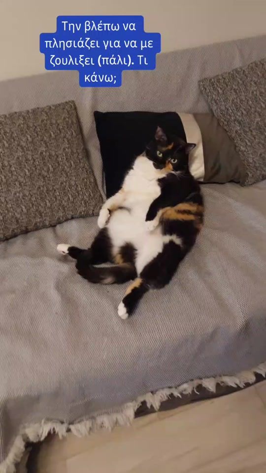 TikTok video thumbnail by ohmycat_gr