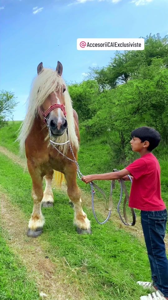 TikTok video thumbnail by antonio.rodila