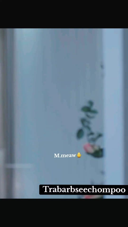 TikTok video thumbnail by m.meawloveponbua