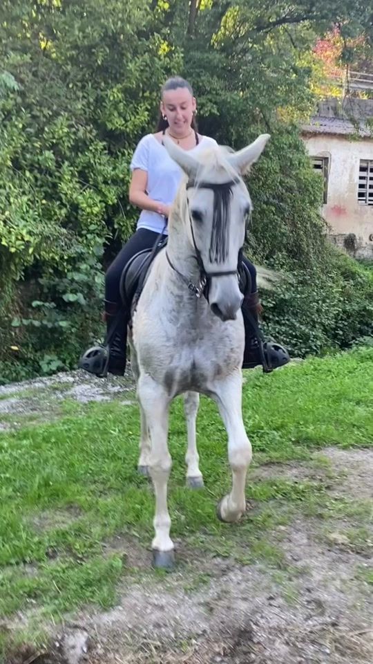 TikTok video thumbnail by raquelarguelles