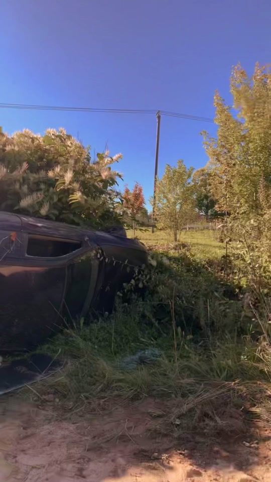 TikTok video thumbnail by _.its.pipukzz.__