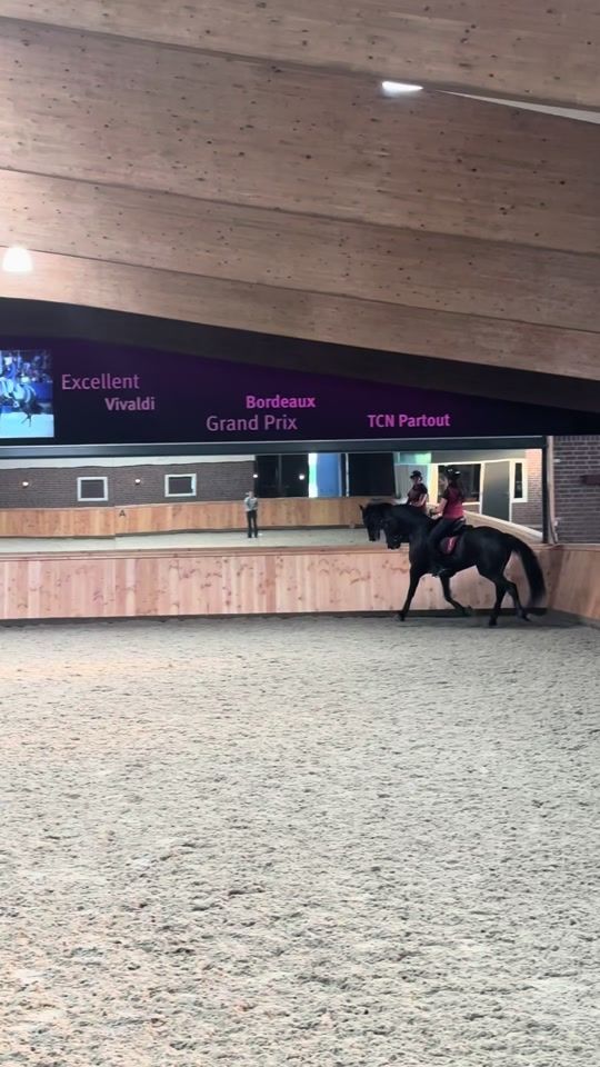 TikTok video thumbnail by sarahbogersdressage