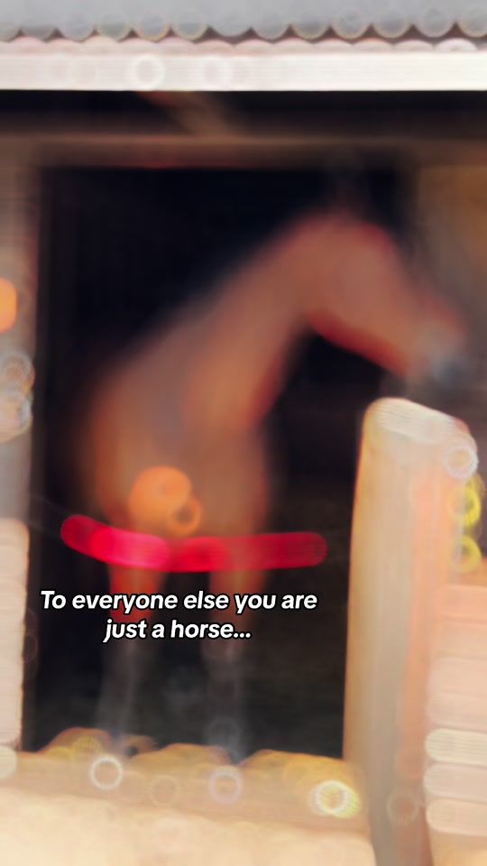 TikTok video thumbnail by charlotte_equestrian96