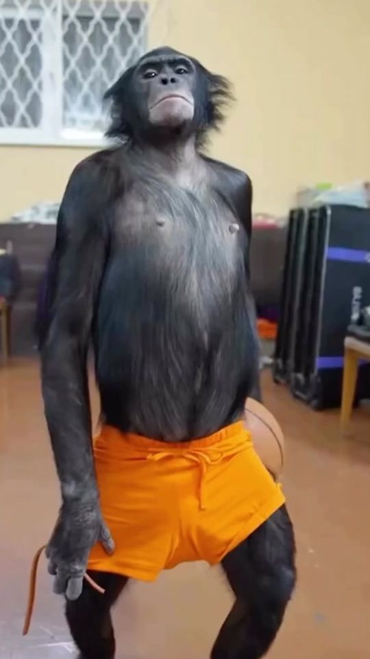 TikTok video thumbnail by f1lthy04