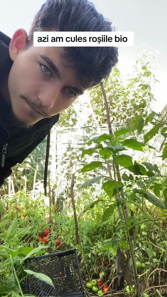 TikTok video thumbnail by znul69