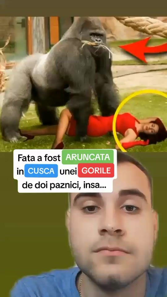 TikTok video thumbnail by bogdan_iancu