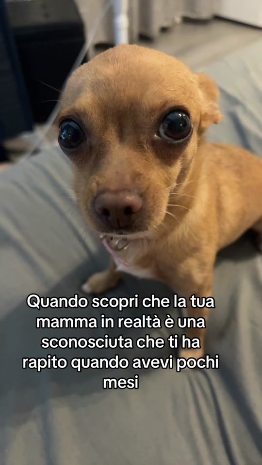 TikTok video thumbnail by chiaramegna91