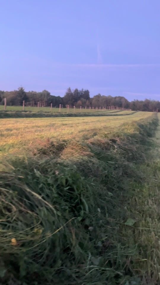 TikTok video thumbnail by jan.picke