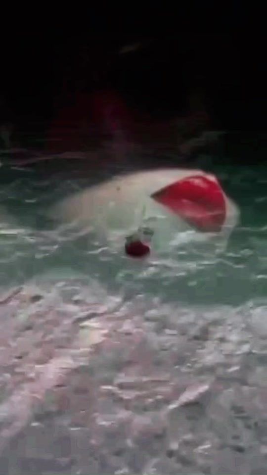 TikTok video thumbnail by amiratonafsi718