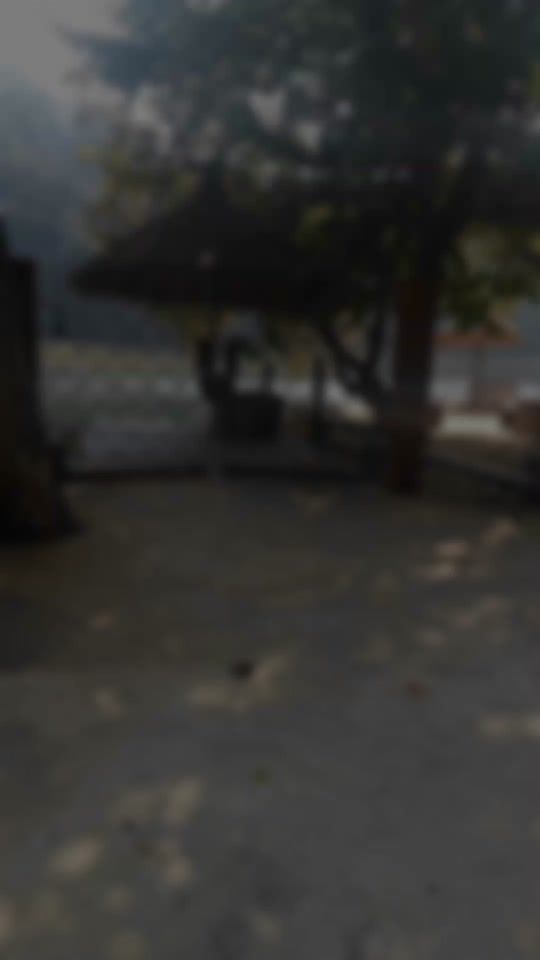 TikTok video thumbnail by patriciacarvalh227
