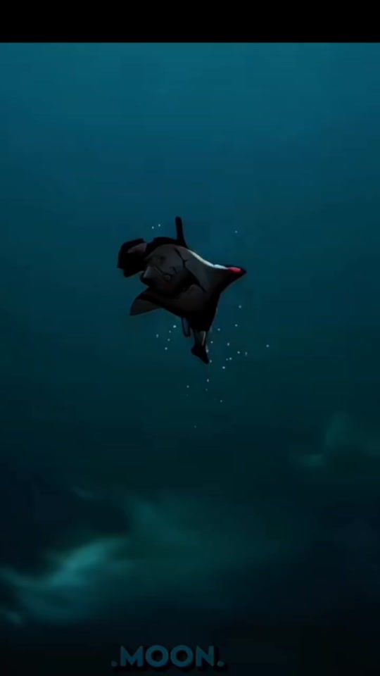 TikTok video thumbnail by random_ember11