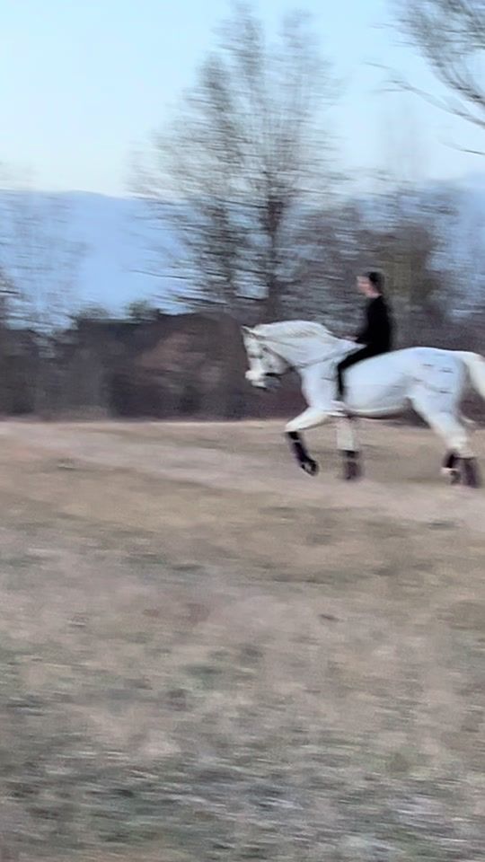 TikTok video thumbnail by sparky.wer.sonst
