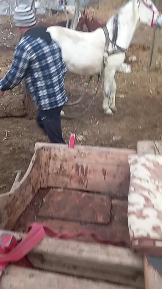 TikTok video thumbnail by marinceamarincea3