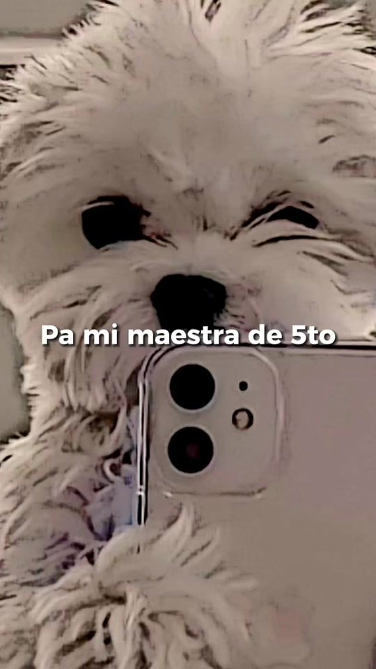 TikTok video thumbnail by luci010613