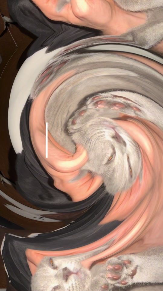 TikTok video thumbnail by mrs.miuki