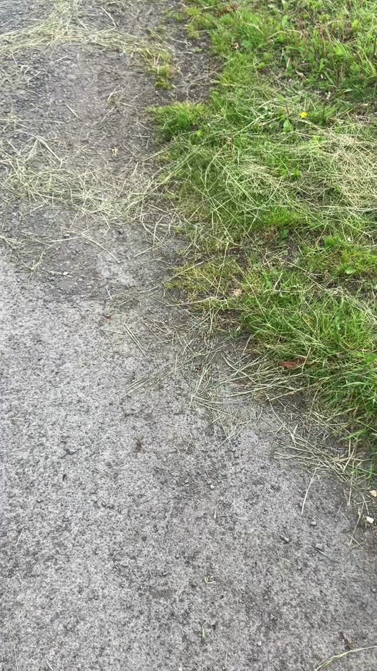 TikTok video thumbnail by benshanks04