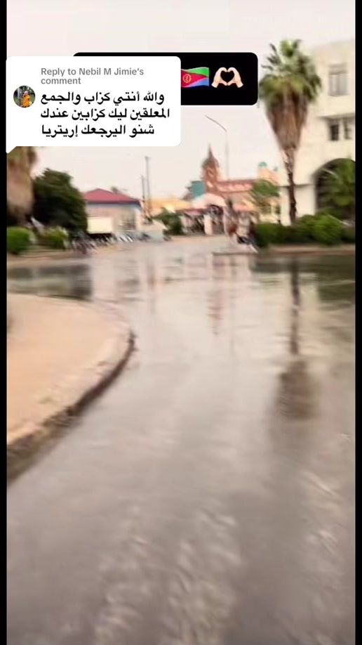 TikTok video thumbnail by salma99susu
