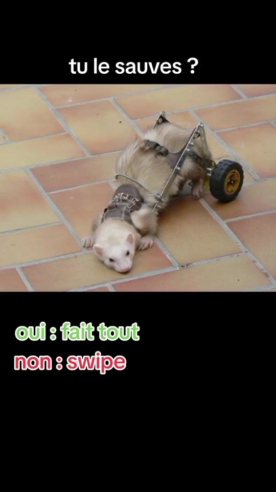TikTok video thumbnail by sc_slayix