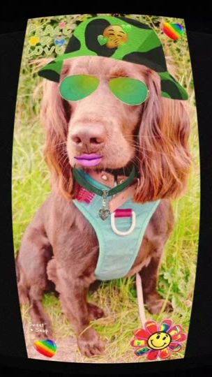 TikTok video thumbnail by tpunited