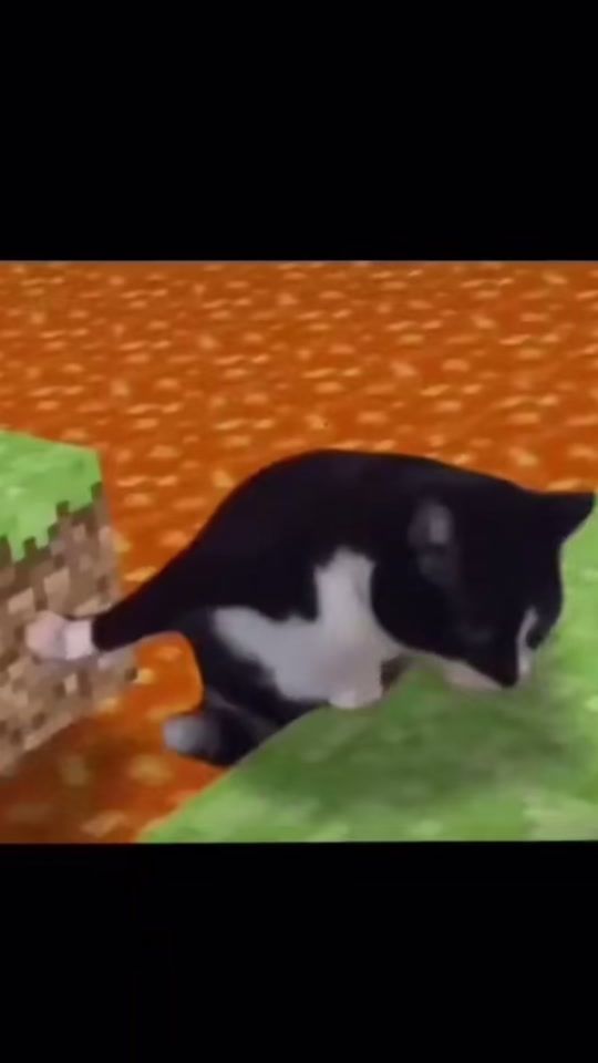 TikTok video thumbnail by sillyvids74