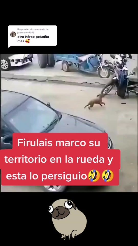 TikTok video thumbnail by consulagency