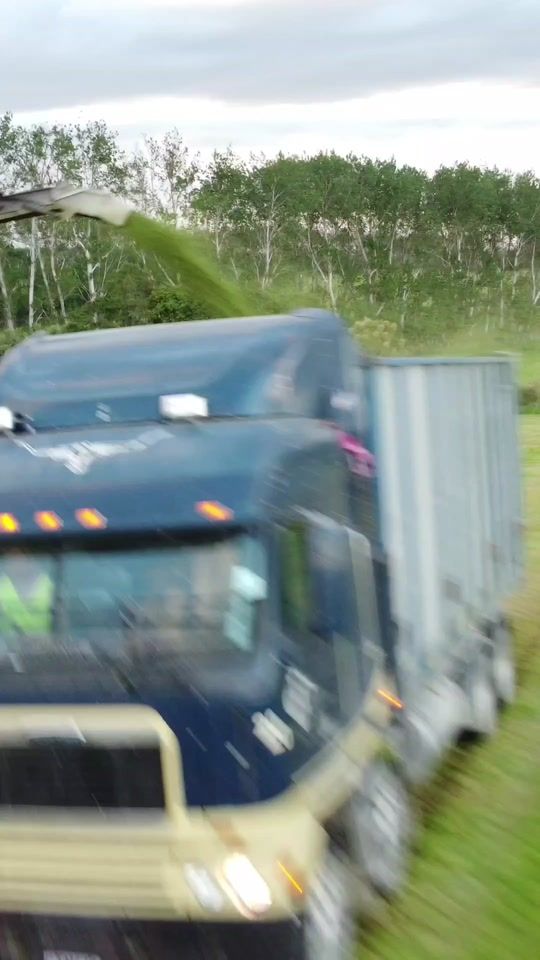 TikTok video thumbnail by lgarton3185