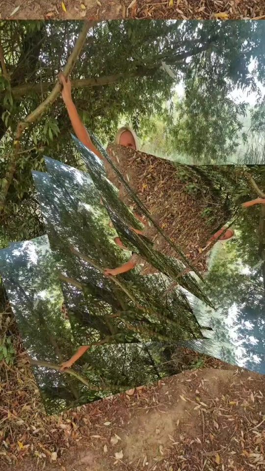 TikTok video thumbnail by franciscadiazdiaz5