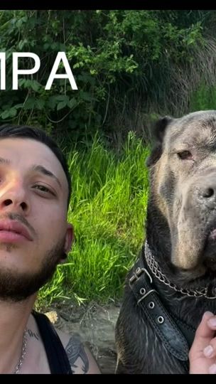TikTok video thumbnail by joretogeorgiew