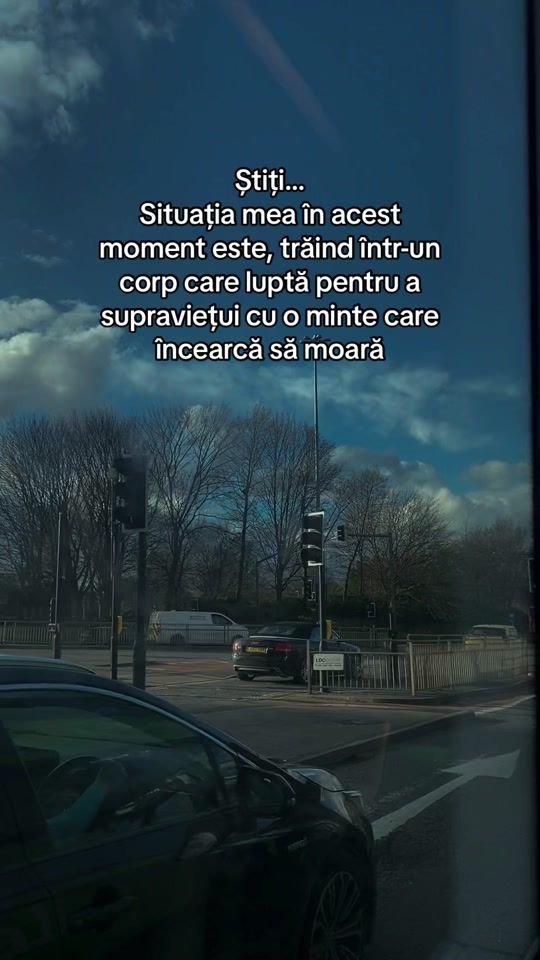 TikTok video thumbnail by interiorul_inimi