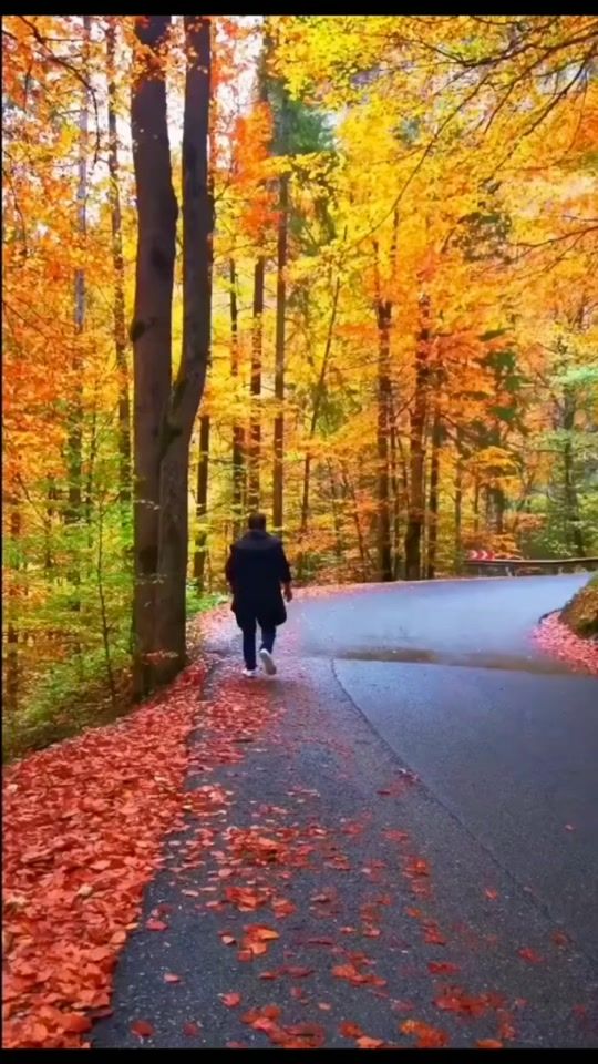 TikTok video thumbnail by rayito.de.sol43