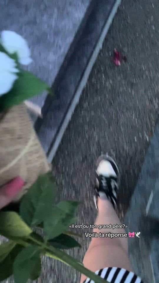 TikTok video thumbnail by louana.hvt