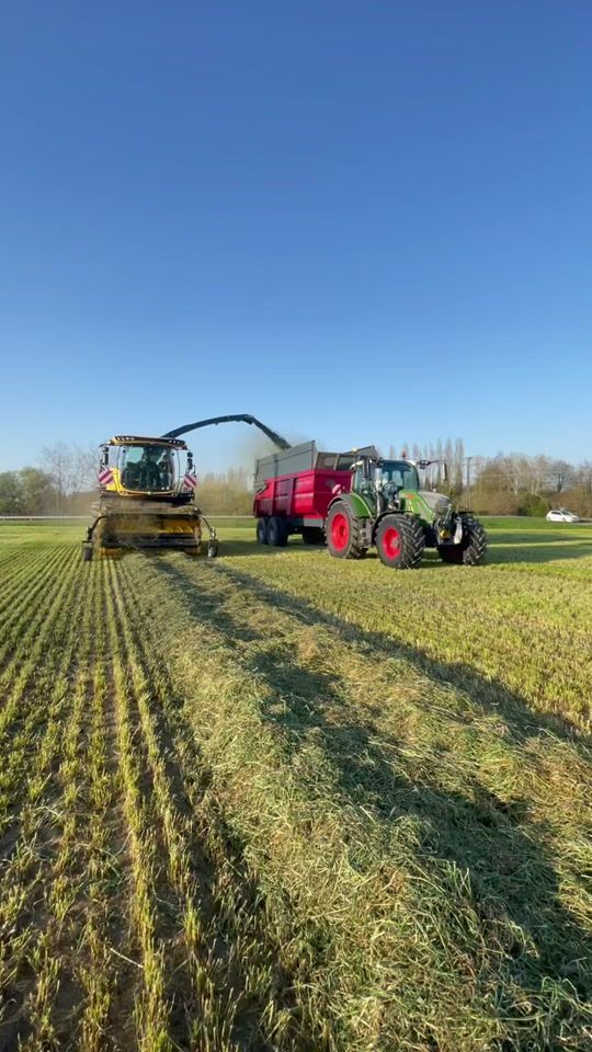 TikTok video thumbnail by ljagromovies