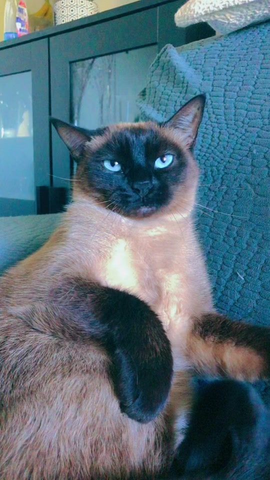 TikTok video thumbnail by mariapalmeri02